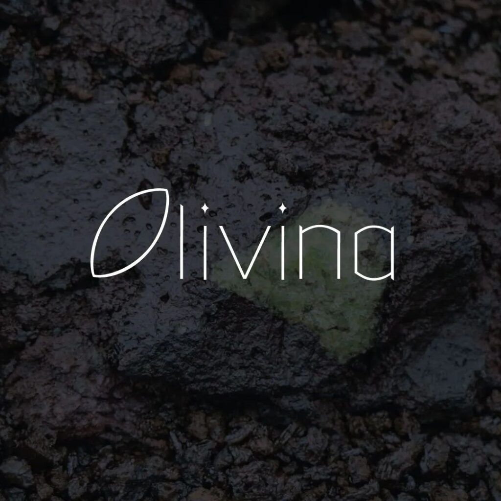 Proyecto - Fuente tipográfica Olivina
